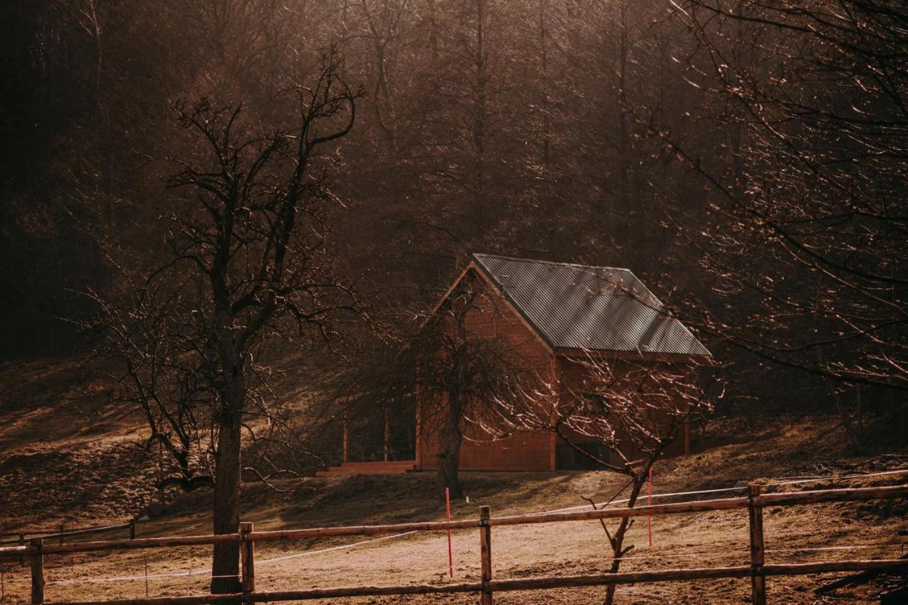 Osada Krasne - Noclegi Blisko Natury Bukowiec  Exterior foto