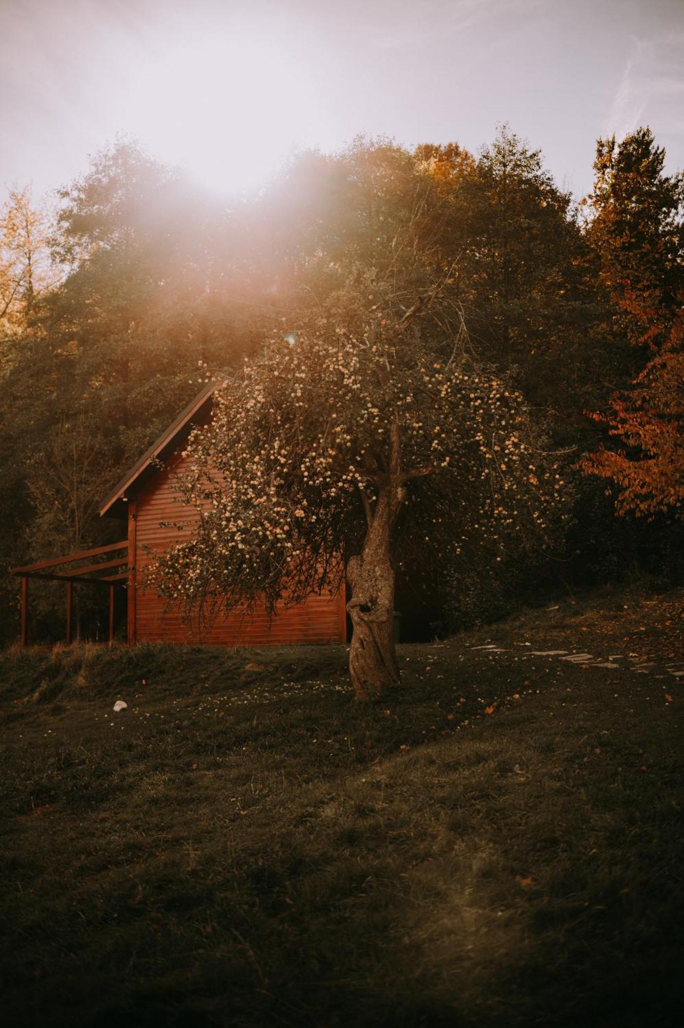 Osada Krasne - Noclegi Blisko Natury Bukowiec  Exterior foto